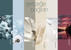 Filli boya 2026 renk katalogu iç mekan yeni renk örnekleri